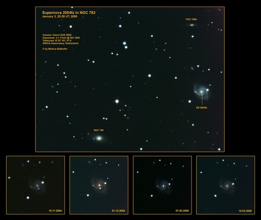 Supernova 2004fz in NGC783