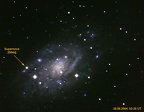 Supernova 2004dj in NGC2403