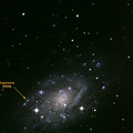 Supernova 2004dj in NGC2403