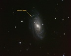 Supernova 2006bp in NGC3953