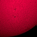 Sonnenoberfläche im H-Alpha Licht Detail 26.06.2015.jpg