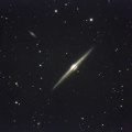 Galaxie Needle Galaxy NGC 4565 Celestron 180 s