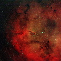 GasNebel Elephant Trunk Nebula IC 1396