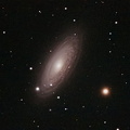 Galaxie Tiger's Eye Galaxy NGC 2841 Integrationszeit 120 min a
