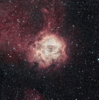 NGC 2244, Rosettennebel