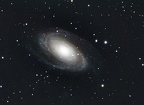 M81
