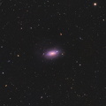 M63 Sunflower-Galaxie