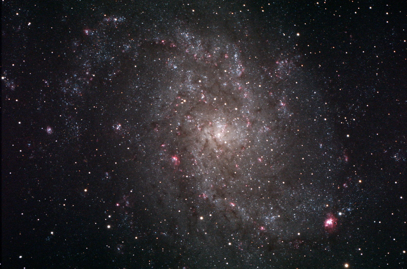 Triangulum Galaxy M 33 Sept 2023 Celestron SCT 9.25 mit 2.5 Std Integration.jpg