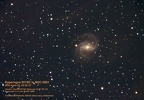 Supernova 2015G in NGC6951