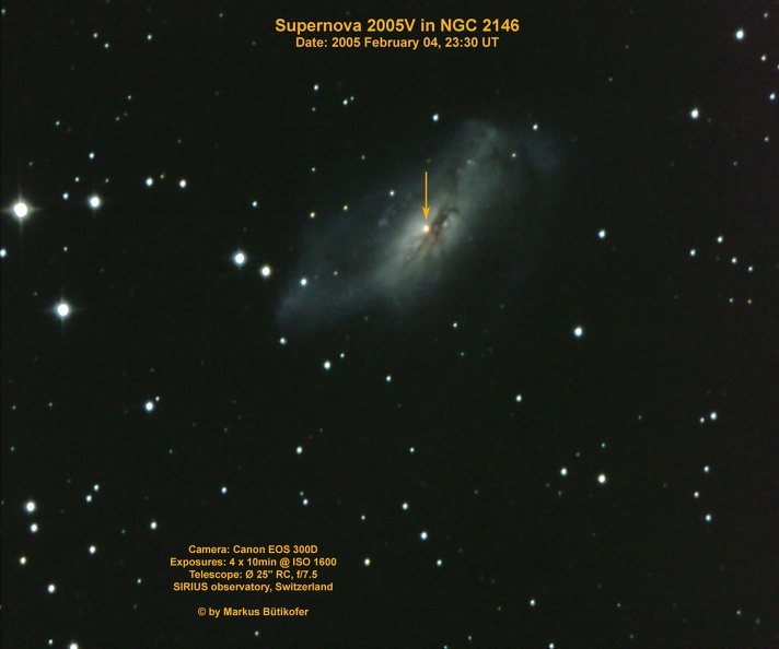 Supernova 2005V in NGC2146