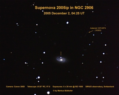 Supernova 2005ip in NGC2906