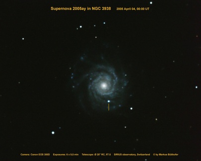Supernova 2005ay in NGC3938