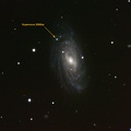 Supernova 2006bp in NGC3953