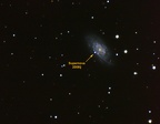 Supernova 2008ij in NGC6643