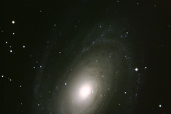 M81 Bode's Galaxie