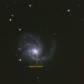 Supernova 2014L in M99