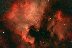 GasNebel Nord Amerika Nebel NGC 7000