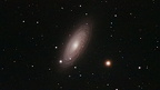 Galaxie Tiger's Eye Galaxy NGC 2841 Integrationszeit 120 min a