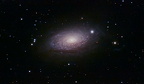 M 63 Sunflower Galaxy Celestron 2 Std Integrationszeit a