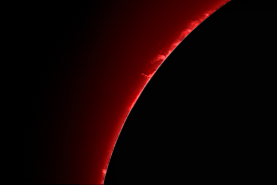 Sonne abgedeckt Detail Protuberanzen 30.06.2015.jpg
